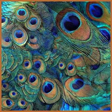 Dabīgā zīda satīna lakats 107x107 cm "Greznības pieskāriens"