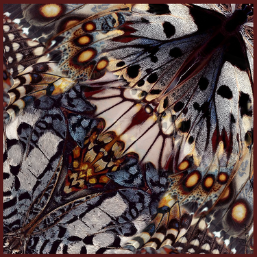 Dabīgā zīda satīna lakats 107x107 cm "Tauriņa pieskāriens"